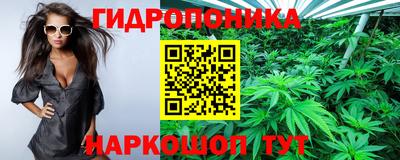 амф Дубна