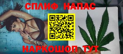 амф Дубна
