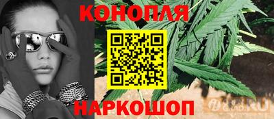 амф Дубна