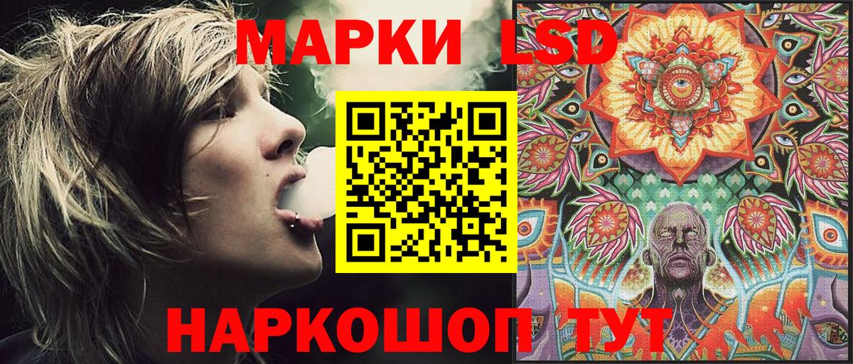 Наркотические марки  Наркотические марки 1500мкг  Наркотические марки 1500мкг  Вход с VPN  Назрань 