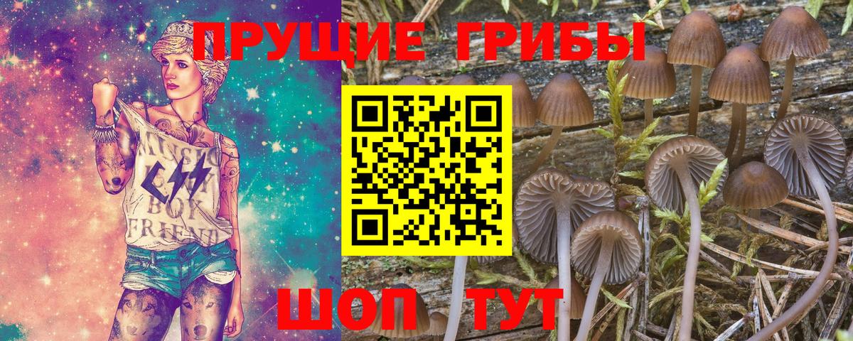 Мефедрон   A PVP СОЛЬ кристаллы  Назрань  КОКАИН  Кодеин  ГАШИШ  Вход с VPN  Марихуана 