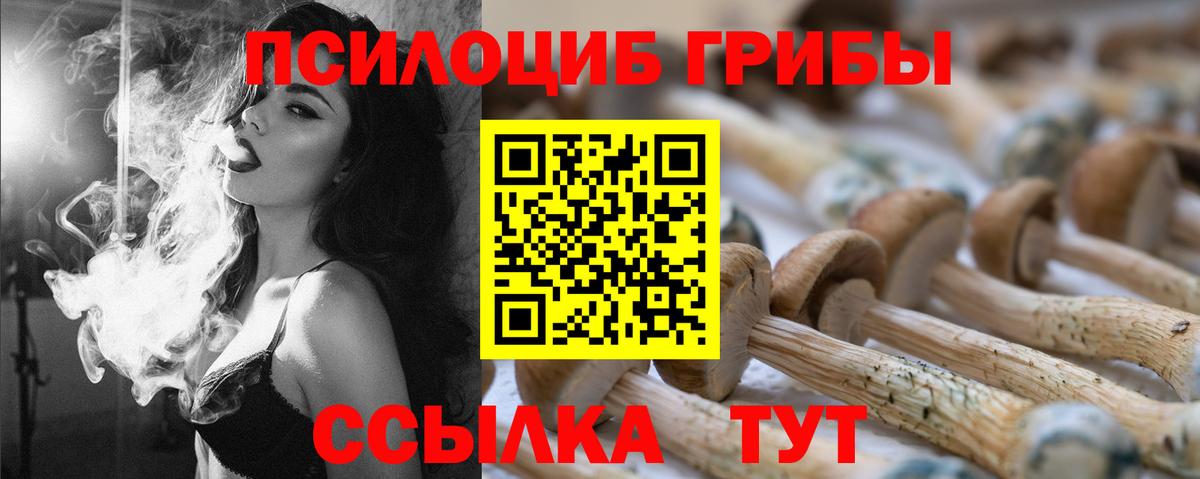 Псилоцибиновые грибы GOLDEN TEACHER Назрань